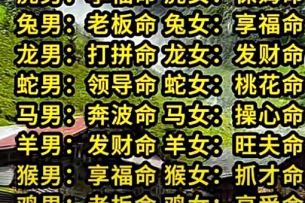 八字命理看别人的命格吗