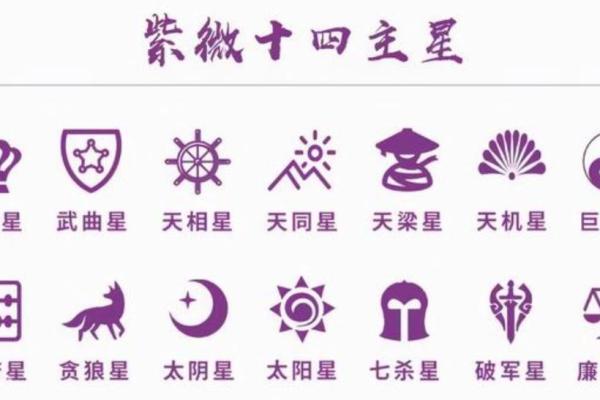 紫薇斗数哪里最准