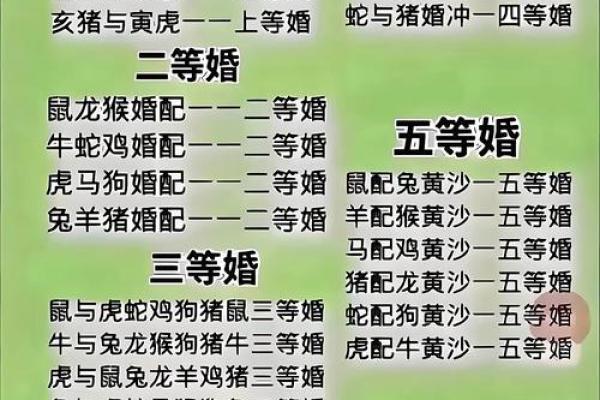 双羊八字详批：性格、婚姻、事业、财运，全面解析！