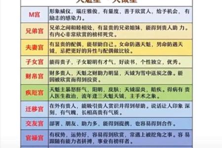 紫薇斗数各宫位