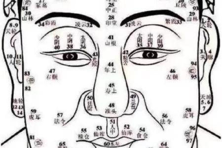 女生手相看命运，解析八字大全