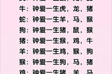 生肖算命婚姻，十二生肖什么属相和龙最配