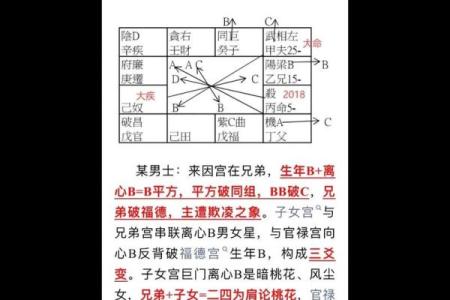 紫薇斗数平什么意思