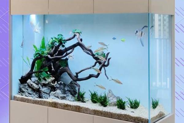 家居风水鱼缸的摆放 风水鱼养几条