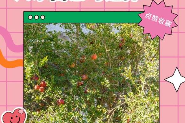 四大镇宅之树是哪四款风水树