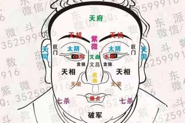 紫微斗数诸星落诸宫之：天同星兄弟宫详解