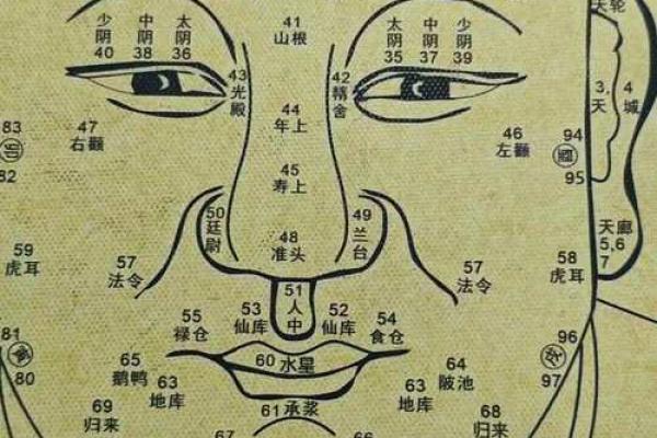 人中看相算命图解大全