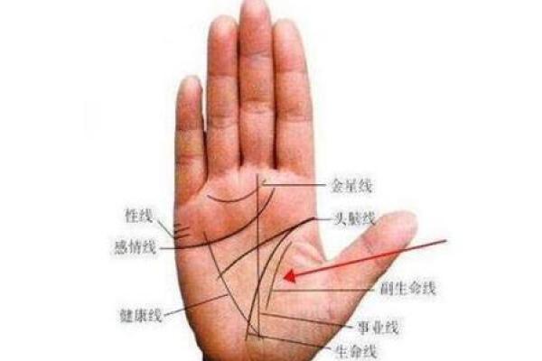 男人左手手纹算命图解 男人左手手相 男人左手手纹算命图解 男人左手手相