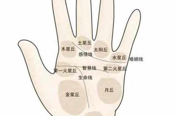 男人左手手纹算命图解 男人左手手相 男人左手手纹算命图解 男人左手手相