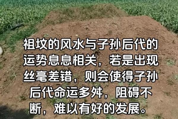 祖坟风水真能影响子孙命运吗