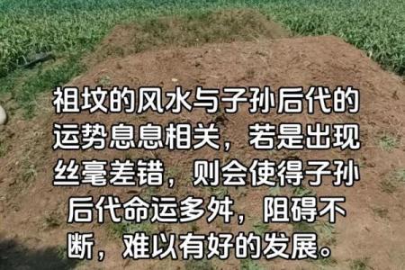祖坟风水真能影响子孙命运吗