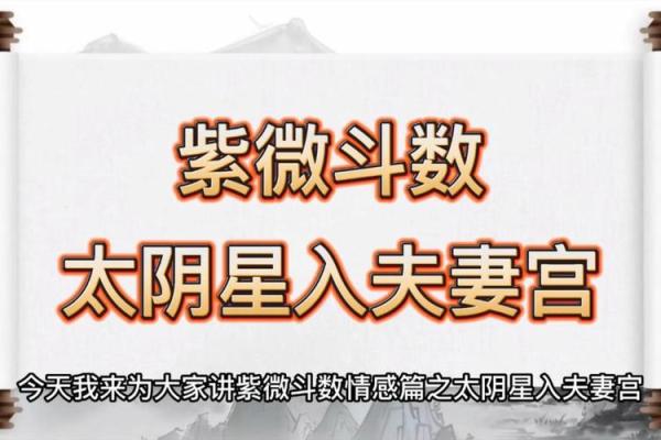 紫微斗数之交友宫与诸星，太阴星在交友宫是什么意思？