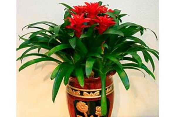 惠州算命的文化公司哪家好 惠州算命的文化公司哪家好