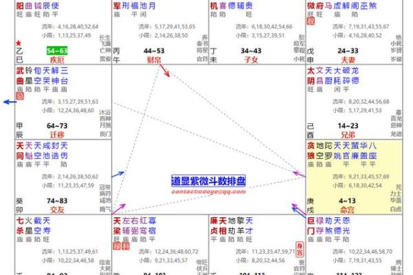 紫薇斗数忌星煞星