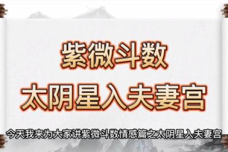 紫微斗数之交友宫与诸星，太阴星在交友宫是什么意思？