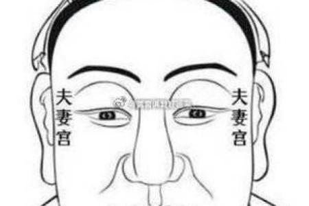 紫微斗数夫妻宫太阴星脸型