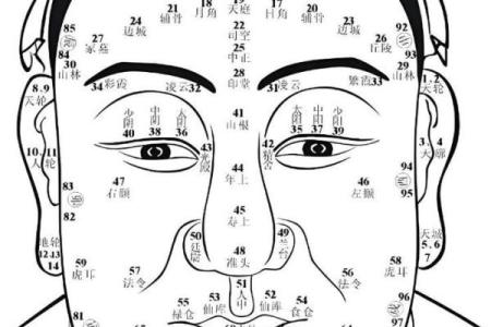 法令纹面相算命看看你命运好坏