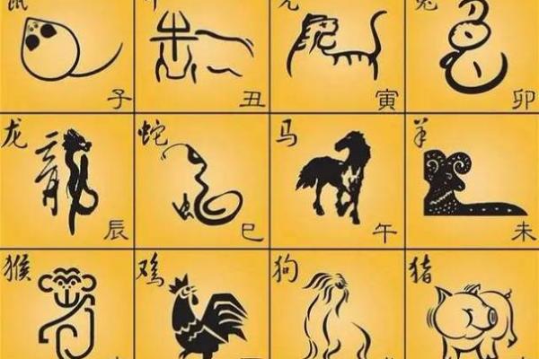 风水：查看12生肖文昌位在哪里