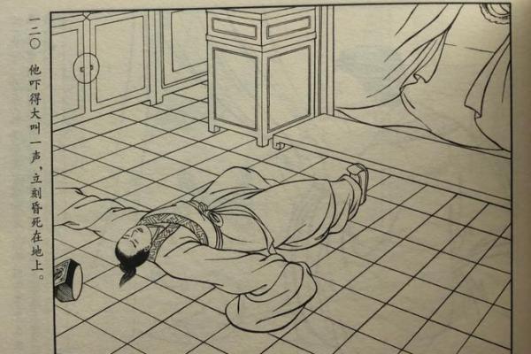 紫薇白娘子紫微斗数书