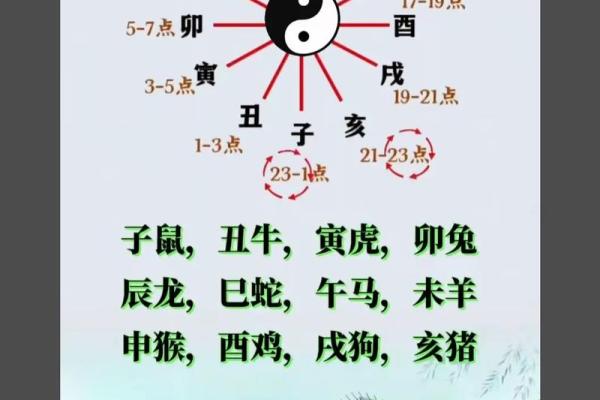 周易算命属牛虎