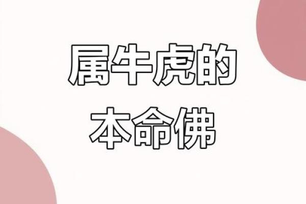 周易算命属牛虎
