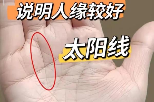 手相太阳线揭秘算命图解大全