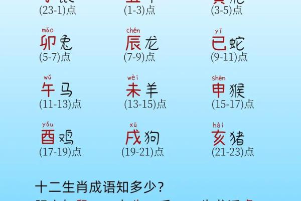 八字大家属于哪个生肖 八字大家属于哪个生肖
