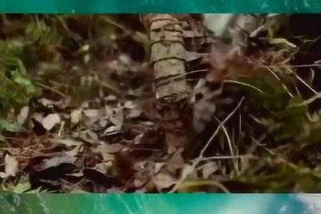 如何留住好风水？凡事量力而行