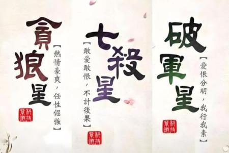 紫薇斗数看财产