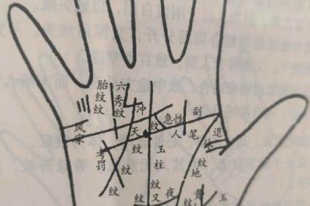 手相太阳线揭秘算命图解大全