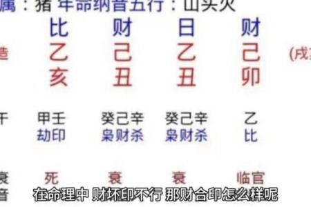 八字财官印全无食伤