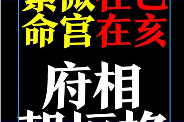 紫薇斗数文案视频的简单介绍