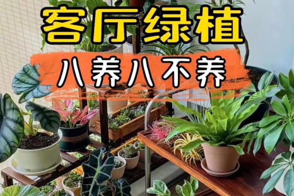 如何通过养植物改善室内风水