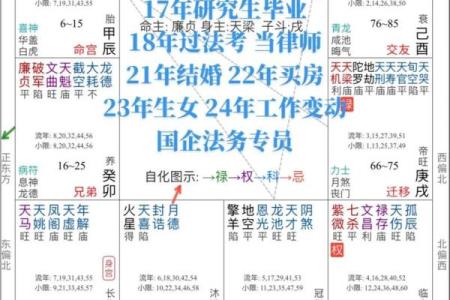 紫薇斗数文案视频的简单介绍