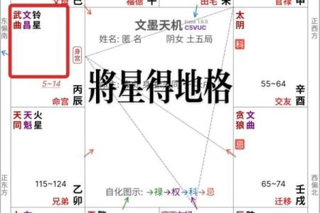 紫微斗数里的禄是什么意思 紫薇禄存星？
