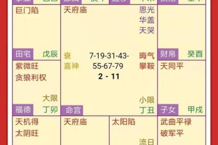 紫薇斗数命书39