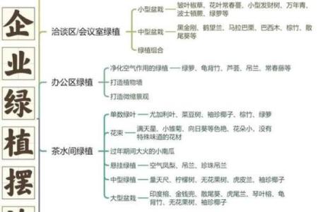 办公场所摆放植物的风水讲究
