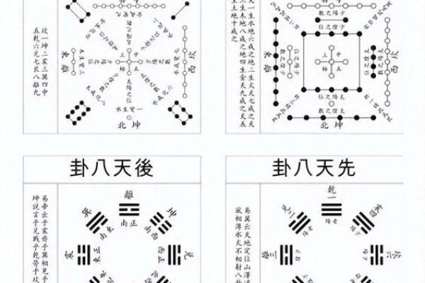 商业：办公养花风水与五行八卦