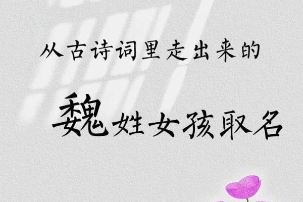 魏姓女孩生辰八字起名字  生辰八字起名免费网站