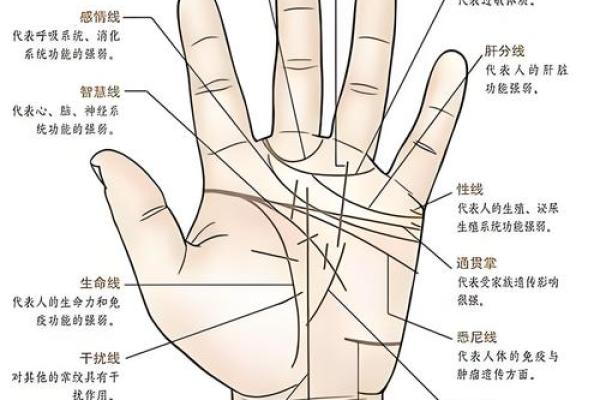 城府深的紫薇斗数