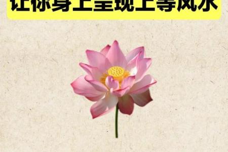 门对门风水有什么说法