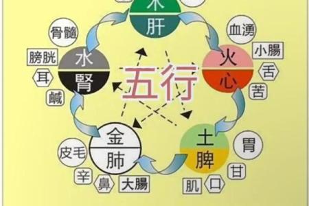 商业：办公养花风水与五行八卦