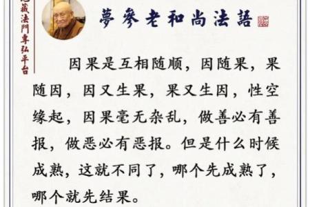 算命的说的苦命是什么意思