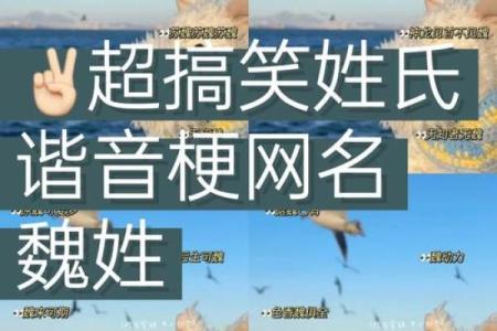 魏姓女孩生辰八字起名字  生辰八字起名免费网站