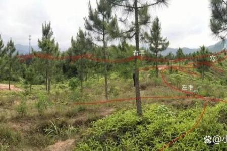 风水好的坟会有异象吗