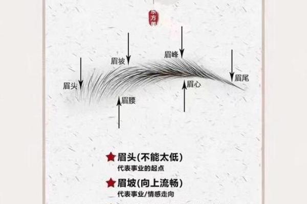 风水角度什么眉毛最好看最招财：长眉