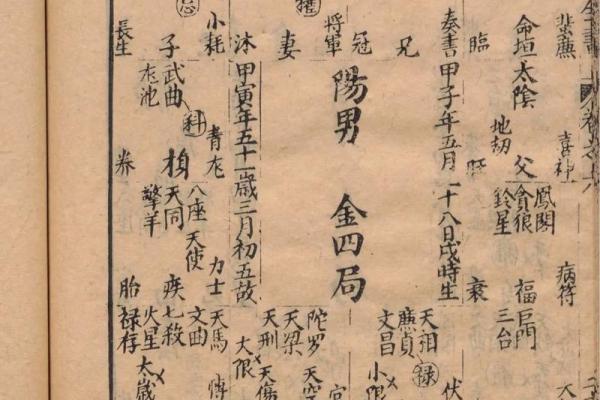 紫薇斗数书入门