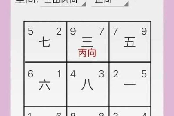玄空飞星吉凶排盘