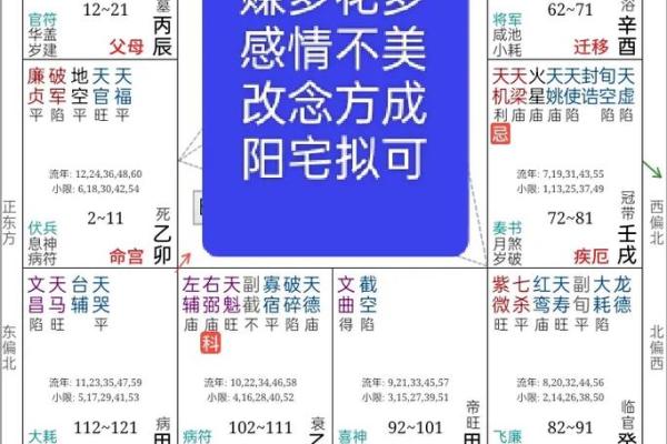 紫薇斗数中州与倪海厦