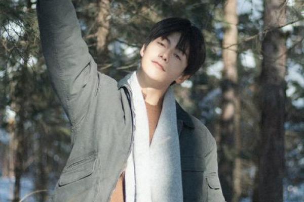 马天宇紫薇斗数